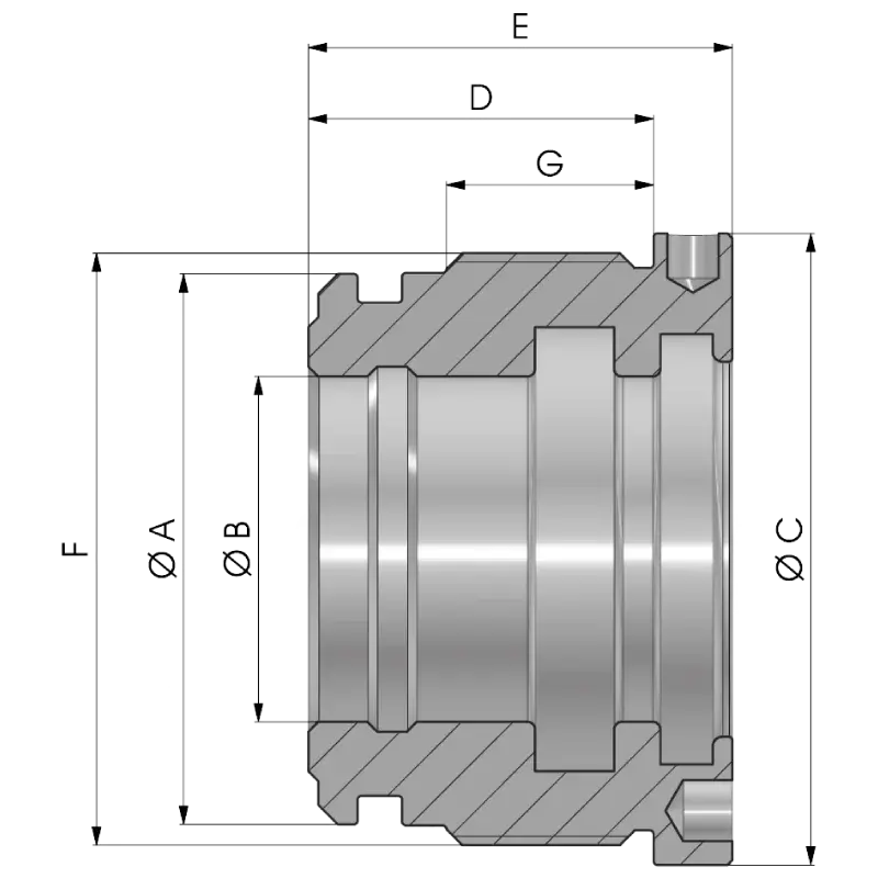 Szárvezető - középhosszú rajz