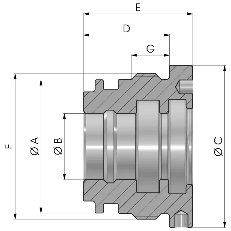 Szárvezető - rövid rajz